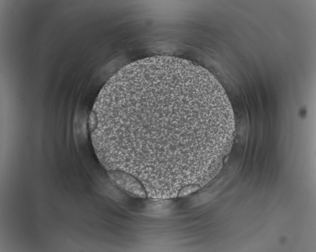 X0000116760334201001141435