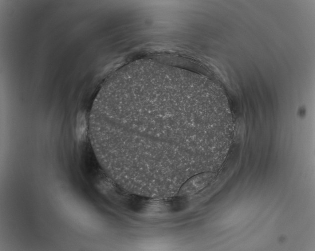 X0000116760335201001141435