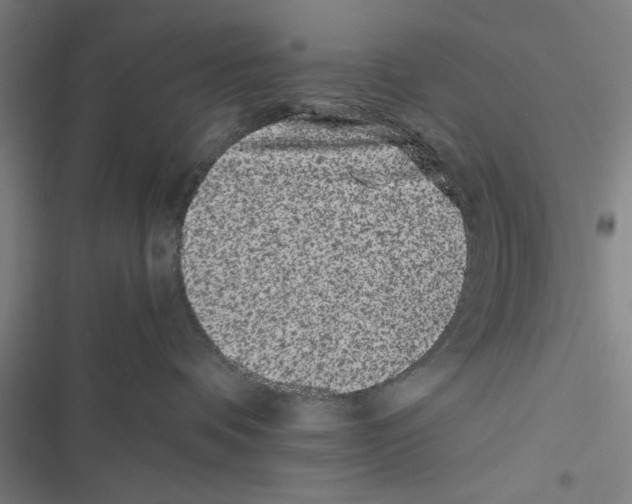 X0000116760336201001141435