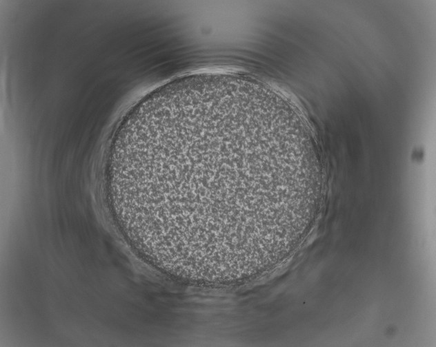 X0000116760337201001141434