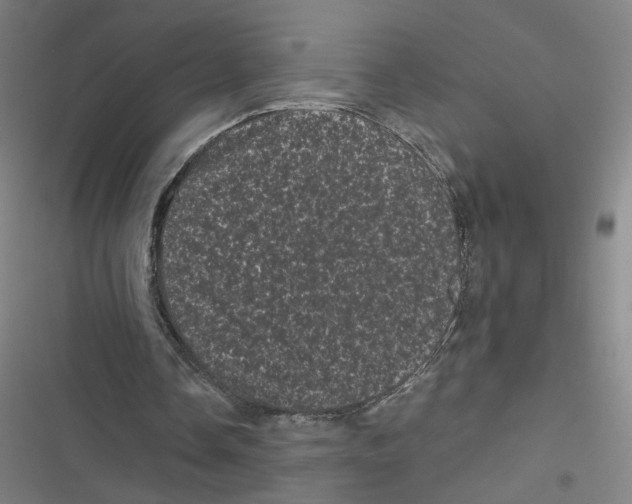 X0000116760338201001141434