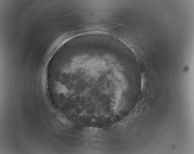 X0000116760339201001141434