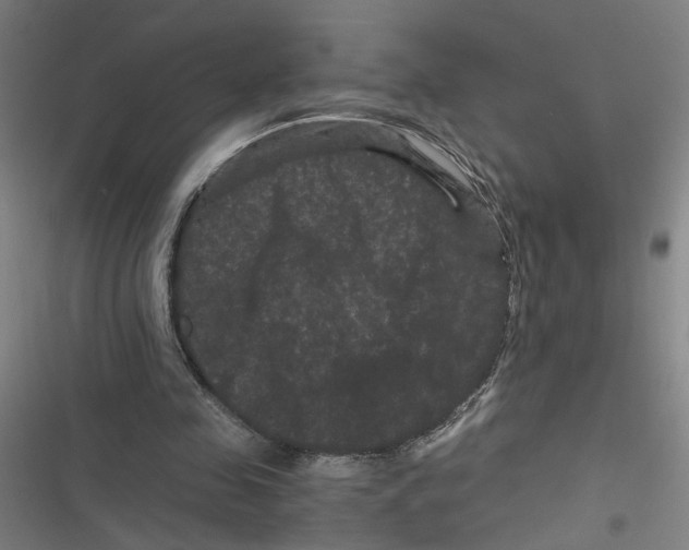 X0000116760341201001141434