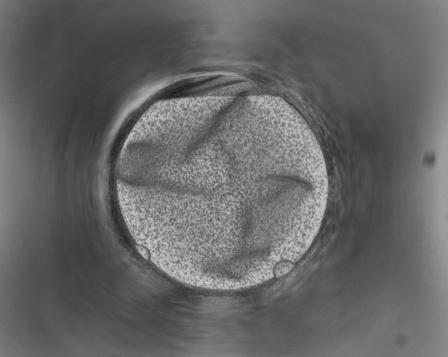 X0000116760342201001141434