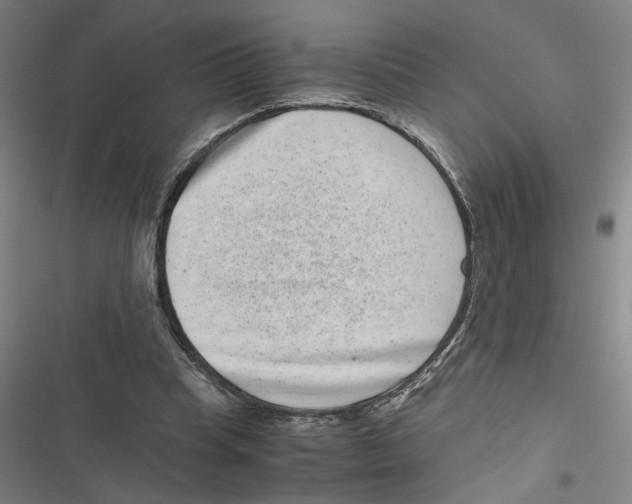 X0000116760345201001141434