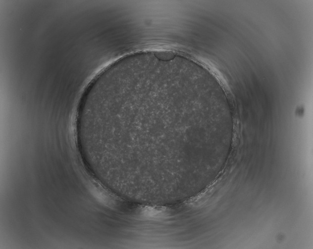 X0000116760346201001141434