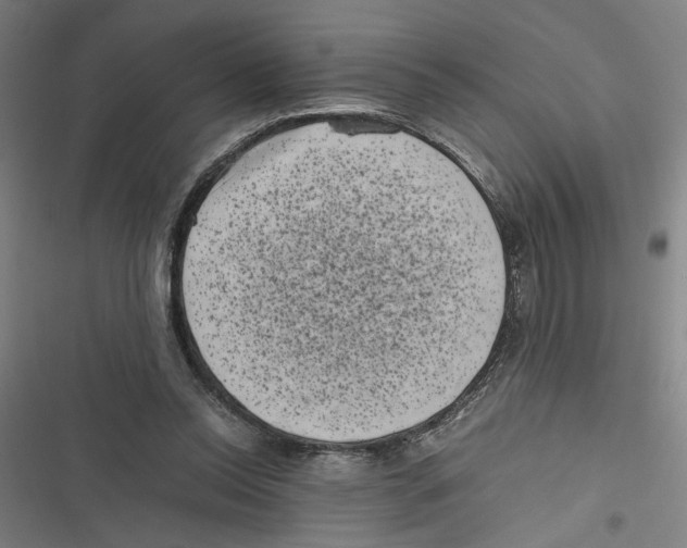 X0000116760350201001141434