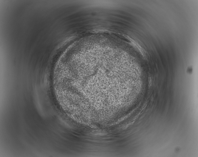 X0000116760353201001141434