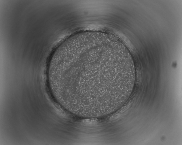 X0000116760354201001141434