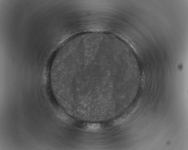 X0000116760355201001141434