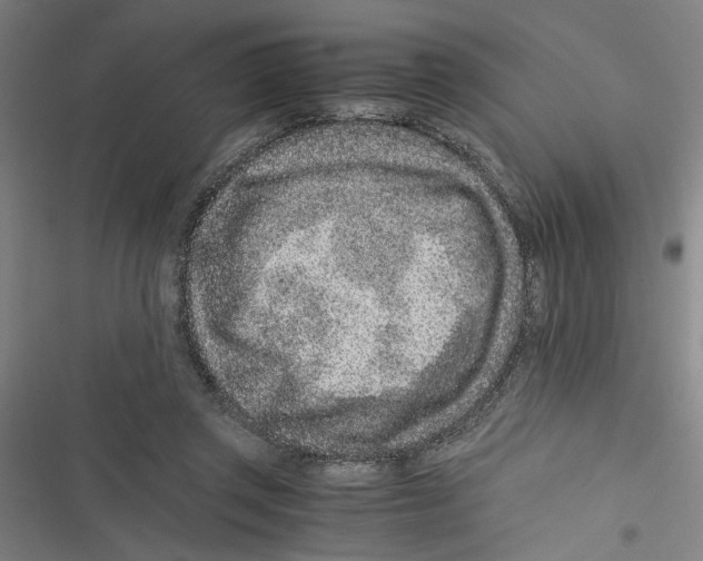 X0000116760357201001141434