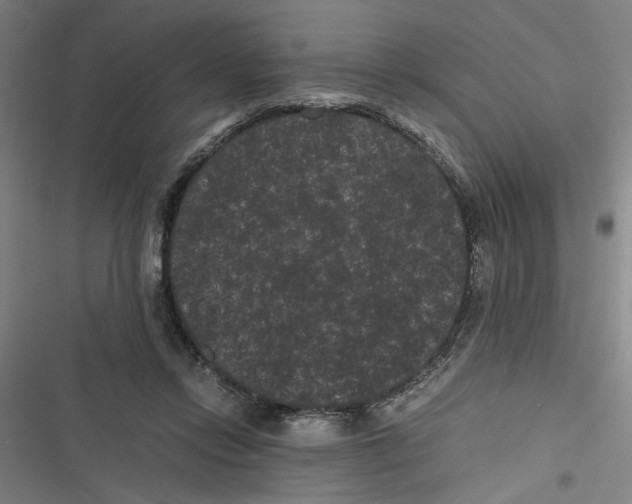 X0000116760358201001141434