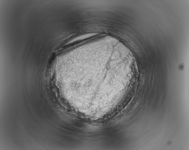 X0000116760359201001141434