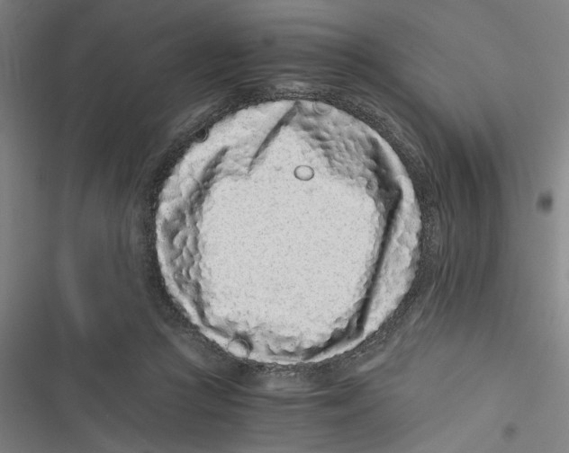 X0000116760361201001141434