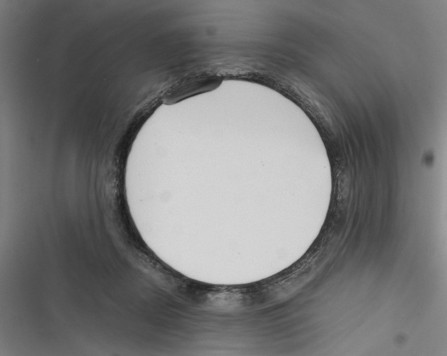 X0000116760362201001141434