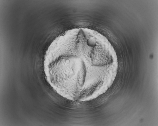 X0000116760365201001141434