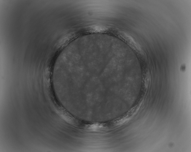 X0000116760366201001141434