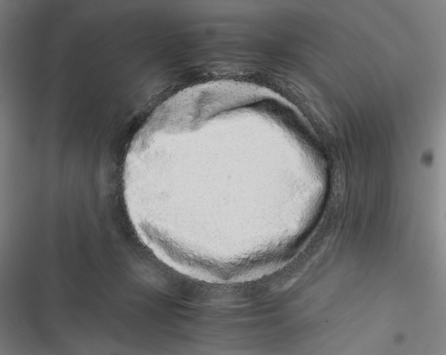 X0000116760367201001141434