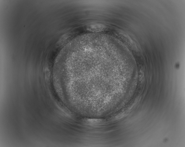 X0000116760371201001141435