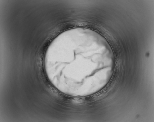 X0000116760373201001141435