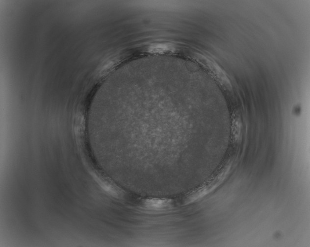 X0000116760375201001141435