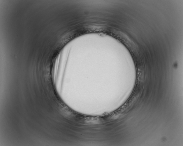 X0000116760377201001141435