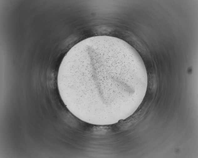 X0000116760378201001141435