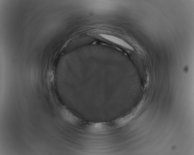 X0000116760382201001141435