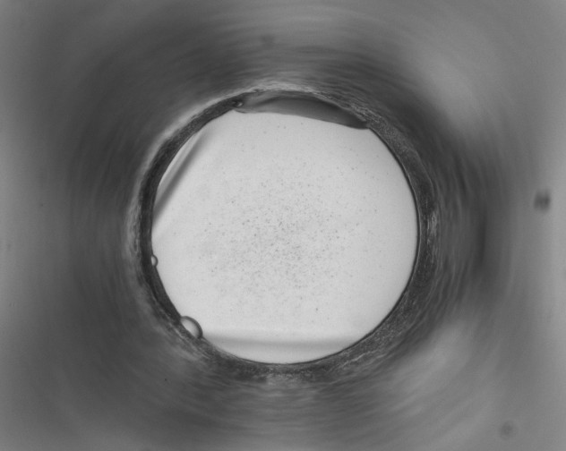 X0000116760388201001141434