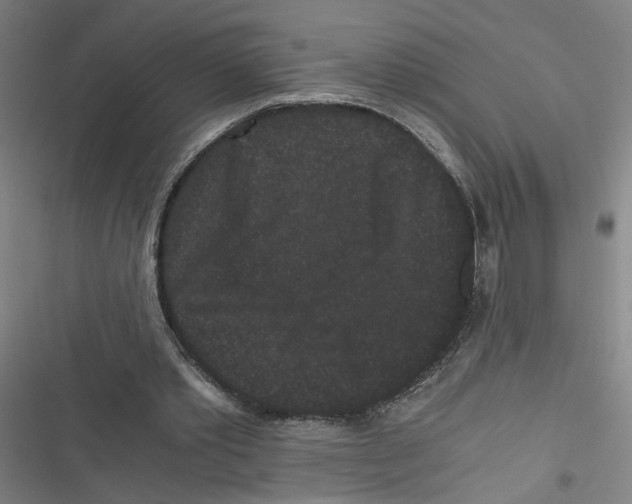 X0000116760389201001141434