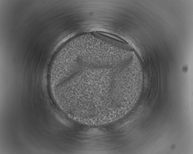 X0000116760390201001141434