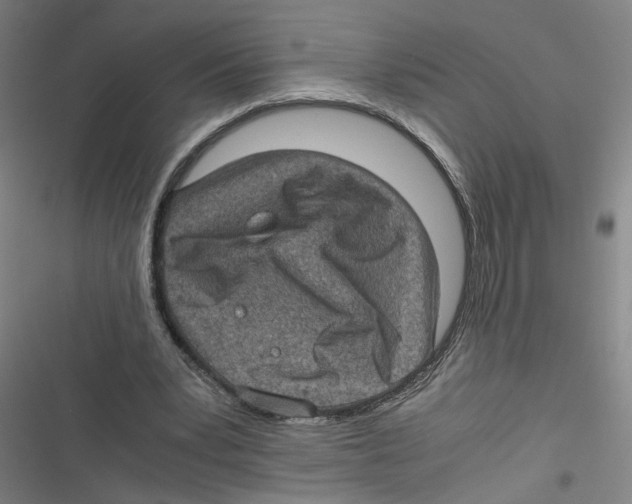 X0000116760391201001141434