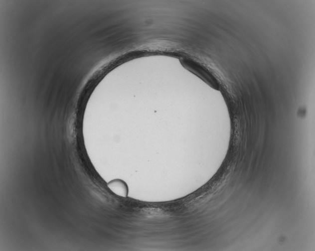 X0000116760392201001141434