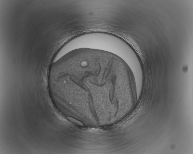 X0000116760393201001141434