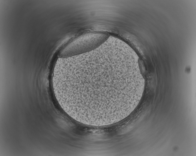 X0000116760395201001141434