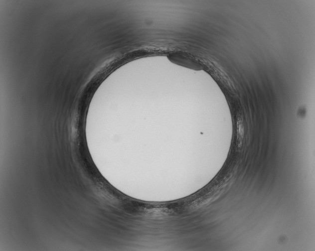 X0000116760396201001141434