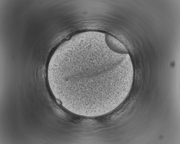 X0000116760397201001141434