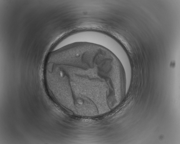 X0000116760399201001141434