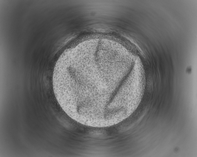 X0000116760402201001141434