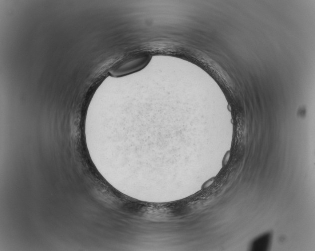 X0000116760403201001141434