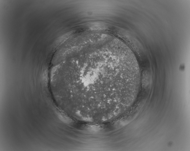 X0000116760405201001141434