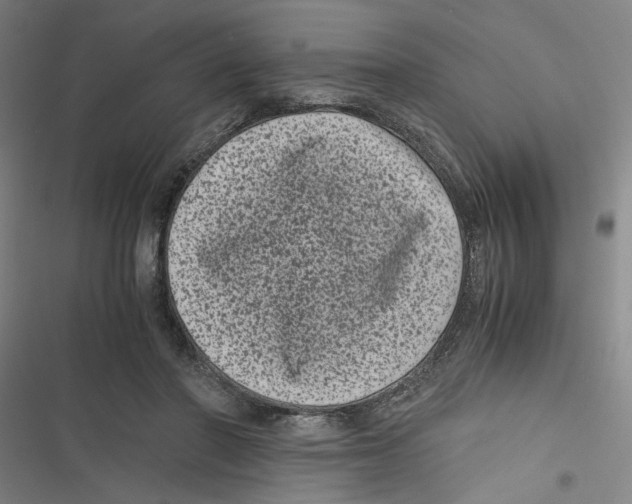 X0000116760406201001141434