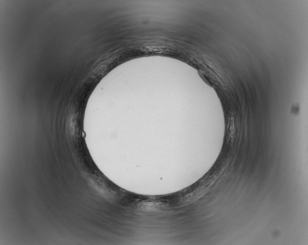 X0000116760408201001141434