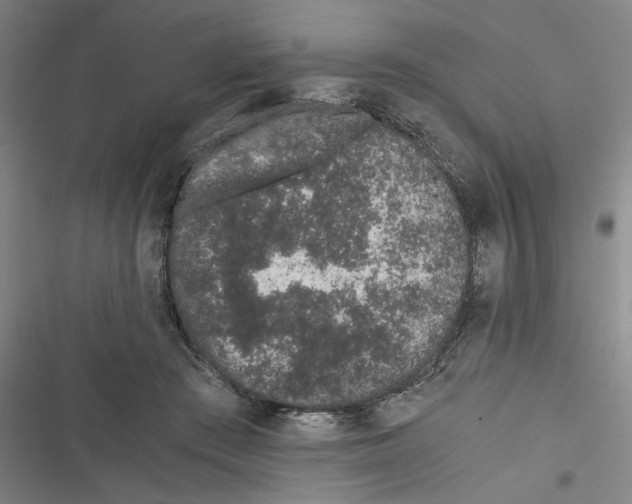 X0000116760409201001141434