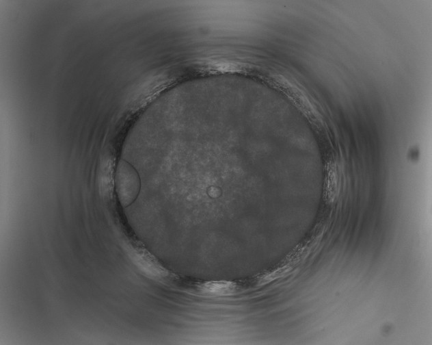 X0000116760410201001141434