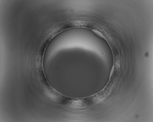 X0000116760411201001141434