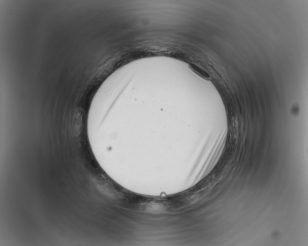 X0000116760412201001141434