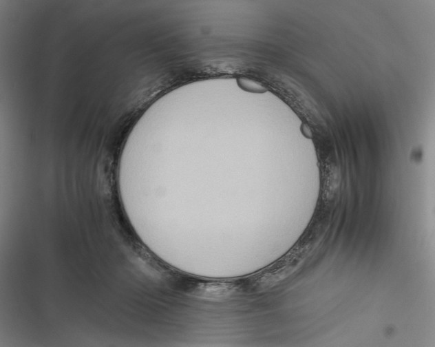 X0000116760414201001141434