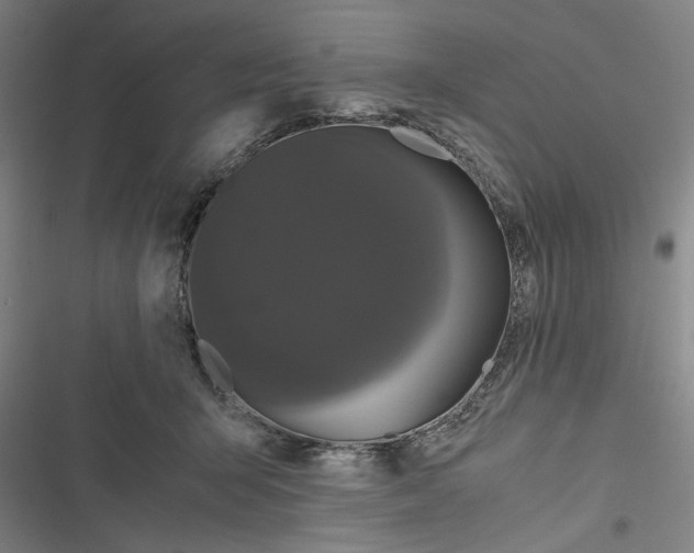 X0000116760415201001141434