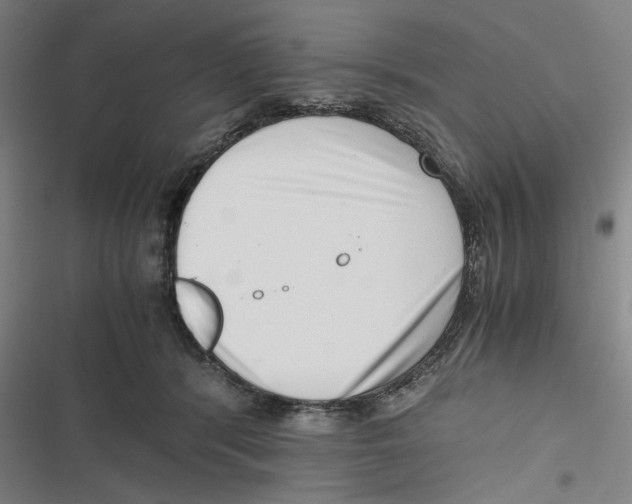 X0000116760416201001141434